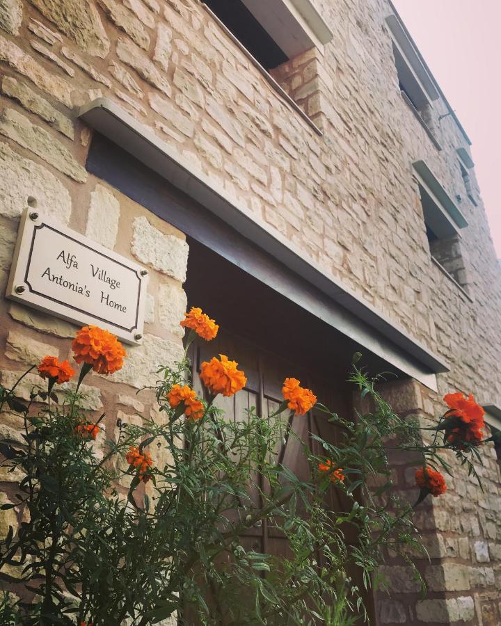 Antonia's Village *