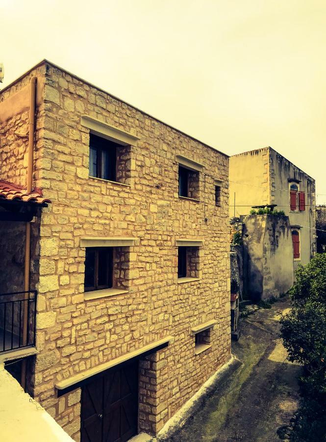 Antonia's Village